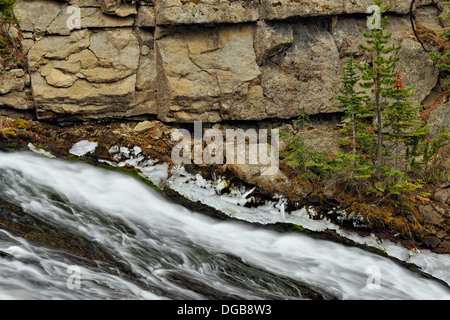 Virginie Cascades avec de la neige fraîche et de la glace Parc Yellowstone NP Wyoming USA Banque D'Images