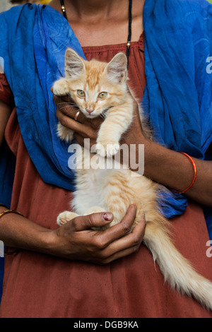 Indian woman holding a ginger cat / chaton. L'Andhra Pradesh, Inde Banque D'Images