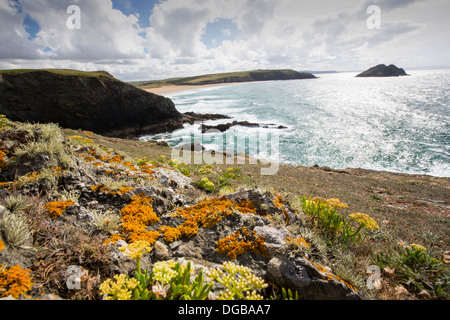 À la plage près de Hollywell vers Newquay, Cornwall, UK. Banque D'Images