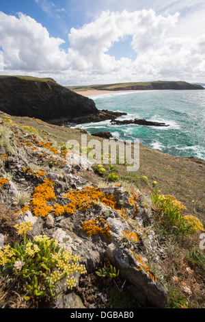 À la plage près de Hollywell vers Newquay, Cornwall, UK. Banque D'Images