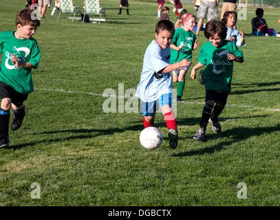 Les garçons et les filles âgés de 8 coups de balle en action emballés jeu de soccer. Champ Carondelet par Expo School St Paul Minnesota MN USA Banque D'Images