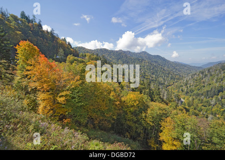 Les feuilles d'automne commence à tourner dans le Great Smoky Mountains National Park contre un ciel bleu et nuages blancs Banque D'Images