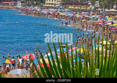 Plage en haute saison , Benalmadena.la province de Malaga, Costa del Sol, Andalousie, Espagne Banque D'Images