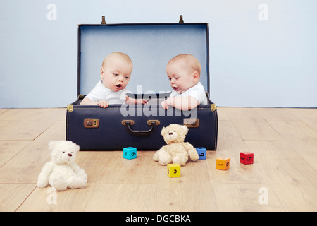 Deux garçons de bébé assis dans suitcase looking at toys Banque D'Images