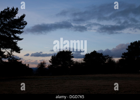 Dernier rayons de lumière du soir d'hiver, l'ensemble de l'automne, la colline de la folie, Oxfordshire Faringdon Banque D'Images