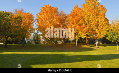 Parc public panorama en couleurs de l'automne ou Gresham. Banque D'Images