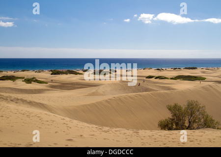 Dunas de Maspalomas, Gran Canaria, Espagne Banque D'Images