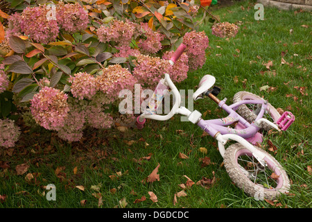 Location d'une fille se trouve sur le sol à côté d'un hortensia en fleurs sur un jour d'automne. Banque D'Images