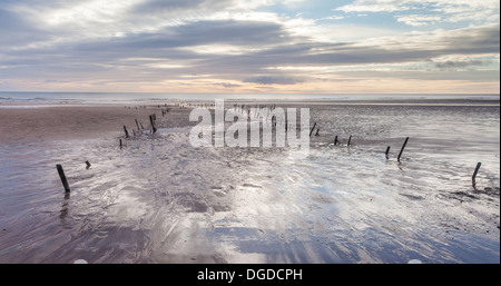 Enjeux & Mer à Lunan Bay dans la région de Angus , Écosse Banque D'Images