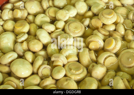 Champignons marinés Banque D'Images