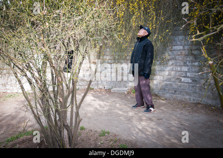 Exercices du matin au parc Jingshan à Beijing, Chine Banque D'Images