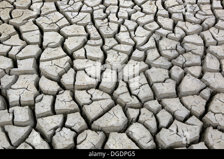 De grandes fissures dans la terre cuite de trou d'eau en période de sécheresse à la fin de saison sèche dans le parc national de Yala, au Sri Lanka Banque D'Images