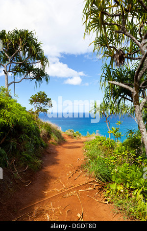 Sur la première moitié de la fameuse Kalalau Trail à Kauai, Hawaï. Banque D'Images