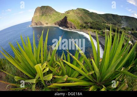 Vue de la falaise de Kahakuloa Bay et Plage, Maui, Hawaii, USA Banque D'Images