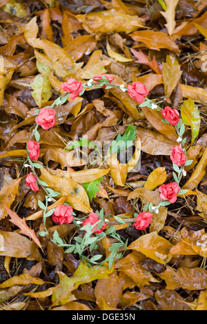 Guirlande de fleurs portant à l'automne les feuilles d'or Banque D'Images