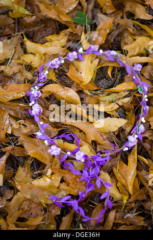 Guirlande de fleurs portant à l'automne les feuilles d'or Banque D'Images