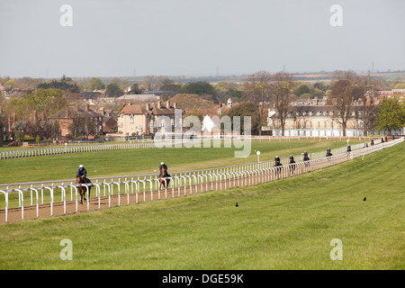 Newmarket's galops Banque D'Images