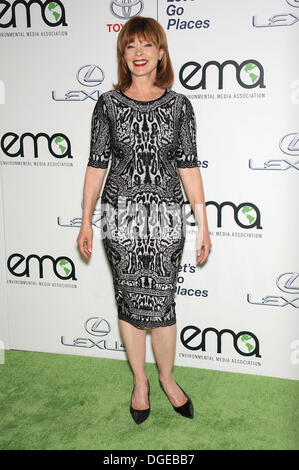 Burbank, Californie, USA. 19 Oct, 2013. Frances Fisher arrive pour l'Media Awards 2013 sur la Warner Bros Studio Lot. © Lisa O'Connor/ZUMAPRESS.com/Alamy Live News Banque D'Images