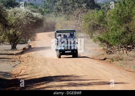 Jeep safari de la faune avec les touristes à bord en parc national de Yala, au Sri Lanka Banque D'Images