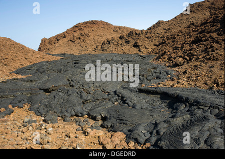 Coulée de cendres volcaniques sec Galápagos Banque D'Images