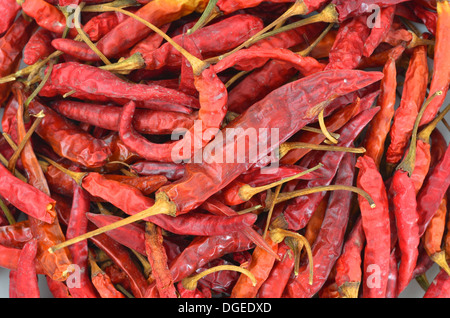 Piments séchés Banque D'Images