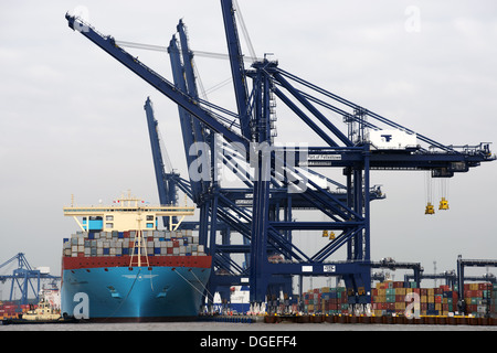 Couchettes 8&9 au port de Felixstowe peut gérer les plus grands navires porte-conteneurs au monde Banque D'Images