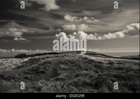 Le bas âge de bronze neuf Barrows et cimetière néolithique Barrow dans les collines de Purbeck, Dorset, UK Banque D'Images