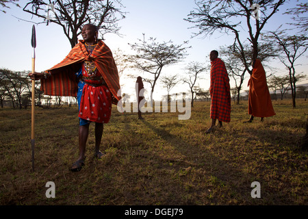 Chef massaï avec une lance à l'aube, dans la région de Mara, Kenya Banque D'Images