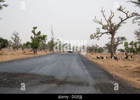 Détérioration de la surface de la route sur route pavée, près de Koalack, au Sénégal. Deux tours de relais téléphonique à gauche du Centre. Banque D'Images