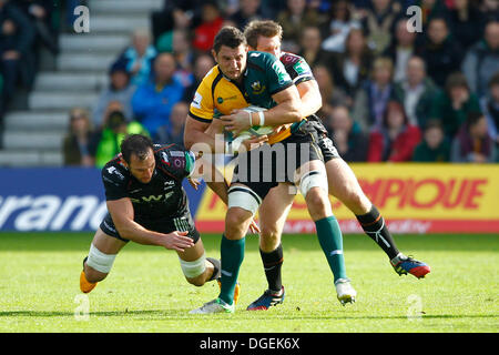 Northampton, Royaume-Uni. 20 Oct, 2013. Action de la H Cup 2013-2014 1 2 Ronde match entre Northampton Saints (FRA) et Ospreys (WAL) joué au Franklin's Gardens, Northampton le dimanche 20 octobre 2013. Credit : Graham Wilson/Alamy Live News Banque D'Images