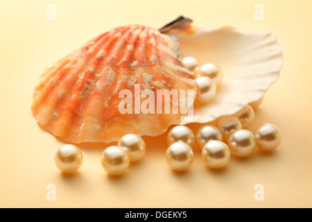 Perles en coquillage blanc Diffusion Banque D'Images