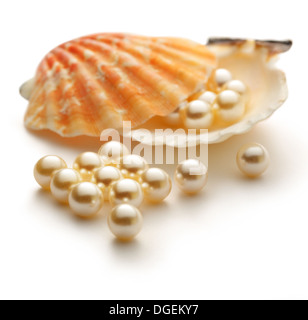 Perles en coquillage blanc Diffusion Banque D'Images