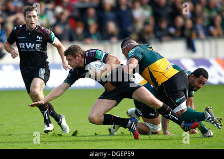 Northampton, Royaume-Uni. 20 Oct, 2013. Action de la H Cup 2013-2014 1 2 Ronde match entre Northampton Saints (FRA) et Ospreys (WAL) joué au Franklin's Gardens, Northampton le dimanche 20 octobre 2013. Credit : Graham Wilson/Alamy Live News Banque D'Images