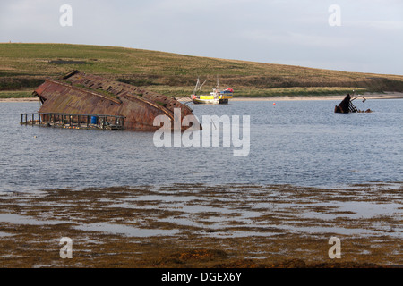 Des îles Orcades, en Écosse. L'épave du reste du Liverpool à Dublin steamer 'Reginald' au son de Weddell. Banque D'Images