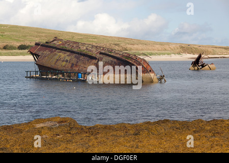 Des îles Orcades, en Écosse. L'épave du reste du Liverpool à Dublin steamer 'Reginald' au son de Weddell. Banque D'Images