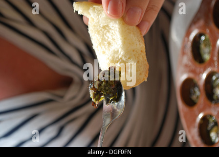 Les escargots de l'alimentation et l'ail avec du pain Banque D'Images