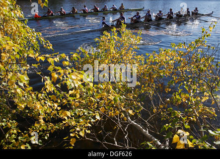 Cambridge, Massachusetts, USA, le 20 octobre 2013. L'Université de Washington, l'avant-plan, et de l'Université de Harvard en concurrence dans le championnat masculin de huit au cours de la tête de la Régate Charles à Cambridge, Massachusetts, dimanche, Octobre 20, 2013. Banque D'Images