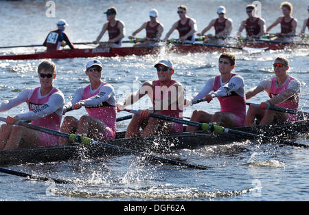 Cambridge, Massachusetts, USA, le 20 octobre 2013. L'Université Brown Men's Crew est en concurrence dans le championnat de l'eights au cours de la tête de la Régate Charles à Cambridge, Massachusetts, dimanche, Octobre 20, 2013. Banque D'Images