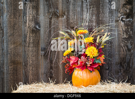 Arrangement de fleurs de citrouille sur le foin à l'arrière-plan en bois rustique Banque D'Images