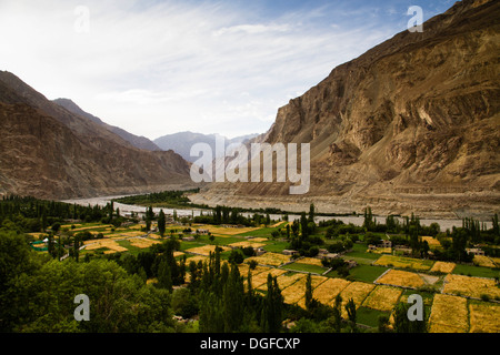 Turtuk village dans la vallée de fleuves Shyok, La Vallée de Nubra, Ladakh, le Jammu-et-Cachemire, l'Inde Banque D'Images