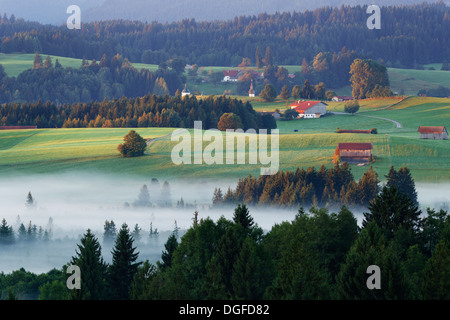 Paysage dans l'avant-pays alpin, avec l'humeur du matin brouillard, Bad Bayersoien, Saulgrub, Pfaffenwinkel region, Haute-Bavière, Bavière Banque D'Images