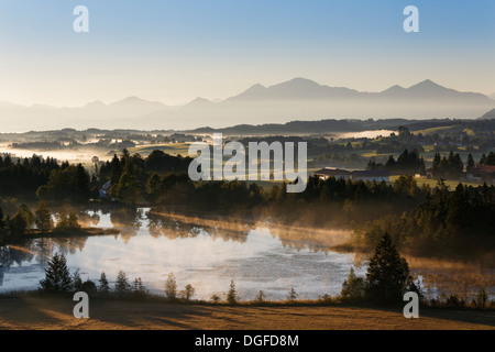 L'humeur tôt le matin sur le lac, Schwaigsee Wildsteig, Pfaffenwinkel region, Upper Bavaria, Bavaria, Germany Banque D'Images