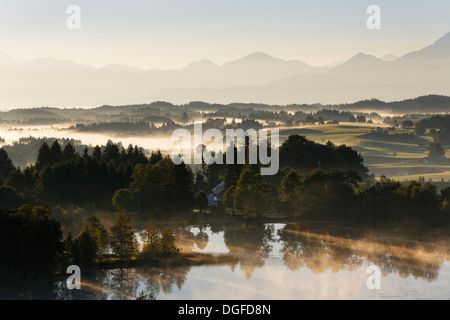 L'humeur tôt le matin sur le lac, Schwaigsee Wildsteig, Pfaffenwinkel region, Upper Bavaria, Bavaria, Germany Banque D'Images