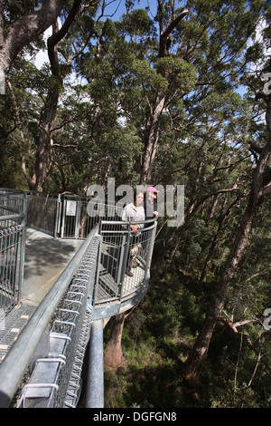 La Vallée des Géants Treetop Walk. Walpole, au sud-ouest de l'Australie-Occidentale. Banque D'Images