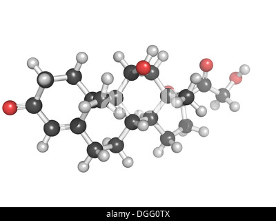 Modèle de cortisol, une hormone de stress libérées par la glande surrénale. Il est important pour les matières grasses, les protéines et le métabolisme des glucides Banque D'Images