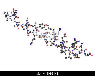 Structure chimique du glucagon, une hormone peptidique sécrétée par le pancréas, ce qui augmente les niveaux de glucose de sang Banque D'Images