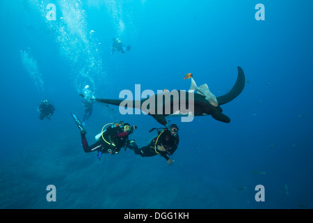 Scuba Diver et Manta, Manta birostris, Socorro, Îles Revillagigedo, Mexique Banque D'Images