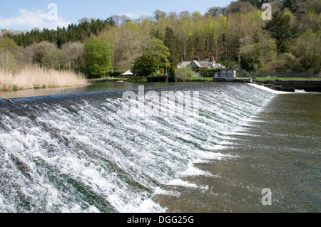 Lopwell barrage sur la rivière Tavy près de Plymouth, Devon Banque D'Images