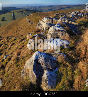 Matin d'hiver sur Malham Lings dans Malhamdale dans le Yorkshire Dales de l'Angleterre Banque D'Images