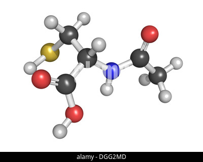 L'acétylcystéine (NAC) médicament mucolytique, structure chimique. Utilisé pour traiter le paracétamol (USA), les atomes sont représentés comme des sphères Banque D'Images